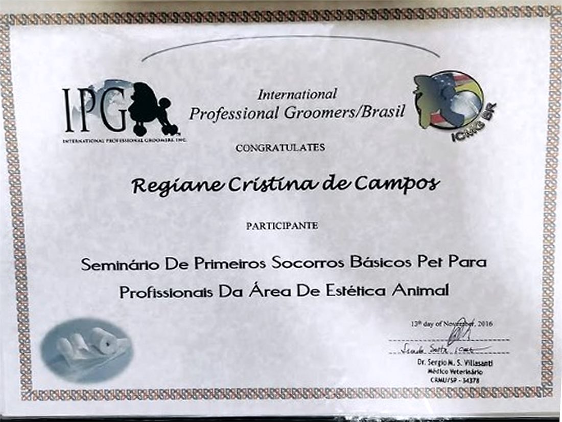 Certificado do Seminário de Primeiros Socorros Básicos Pet, International Professional Groomers Brasil