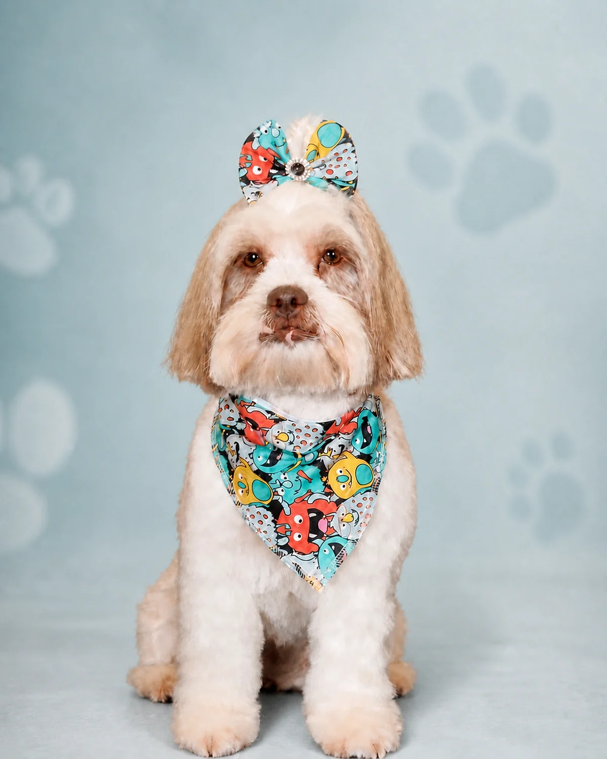 Cão tosado com bandana colorida e laço na cabeça